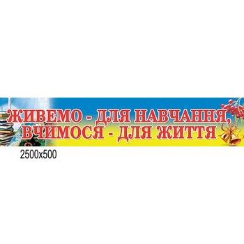 Баннер на школу