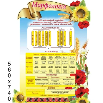 Стенд "Морфология"
