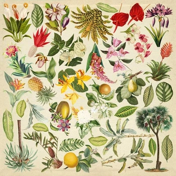 Аркуш з картинками для вирізання, Фабрика Декора, Botany exotic, 30,5х30,5 см, артикул fd-02108