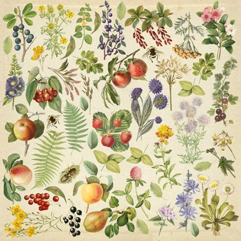 Лист з картинками для вирізання, Фабрика Декору, Summer botanical diary 30,5х30,5 см, артикул FD-02107