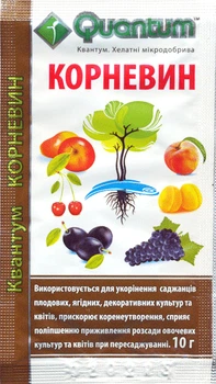 Корневин