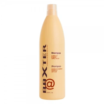 Шампунь восстанавливающий с экстрактом бамбука Punti di Vista Baxter Professional Bamboos Marrow Shampoo Dry Hair, 1000 мл