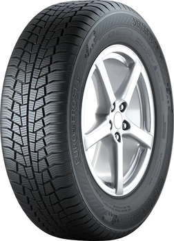 Зимняя шина GISLAVED Euro Frost 6 225/55R16 99H