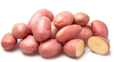 Картофель семенной (посадочный) Ред Леди. Среднеранний, 1 репродукция 100 кг. Урожай 2022 года.