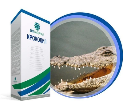Семена сахарной свеклы Крокодил категория Фермер (дражированные обработанное) SESVANDERHAVE 47668