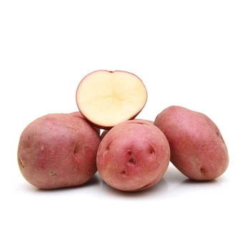 Картофель семенной (посадочный) Фламенко. Среднеспелый, 1 репродукция 100 кг. Урожай 2022 года.