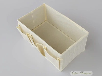 Коробка для хранения BS SR25 25×15×12 см бежевого цвета