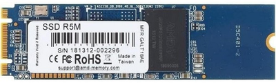 Твердотільний диск M.2 256GB AMD Radeon R5S NVMe, PCIe (R5MP256G8)