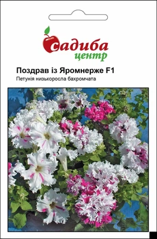 Петунія Cerny Поздрав із Яромнерже F1, 10 гран Садиба Центр