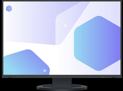 Монитор EIZO EV2485-BK (EV2485-BK)