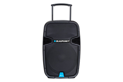 Акустическая система Blaupunkt PA15