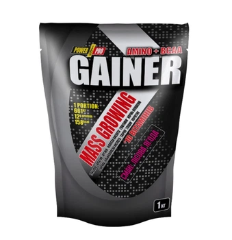 Гейнер Power Pro Gainer Amino + BCAA 1 кг Лісові ягоди