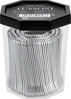 Zestaw wsuwek do włosów Lussoni Silver 250x6 cm (5903018917238)