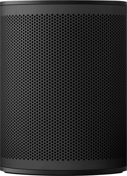 Акустическая система Bang & Olufsen Beoplay M3 Black