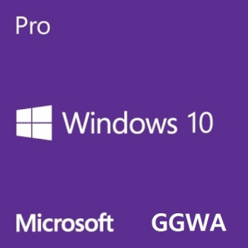 Операционная система Microsoft Windows GGWA - Windows 10 Professional Commercial, Perpetual (DG7GMGF0CGSH_0005)
