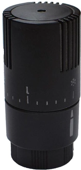 Термостатическая головка CARLO POLETTI M30x1.5 черная (A49800E9005O)