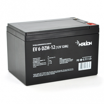 Тягова акумуляторна батарея AGM Merlion EV 6-DZM-12 M5