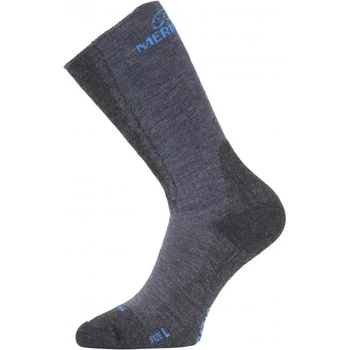 Носки Lasting WSM 38-41 Синій