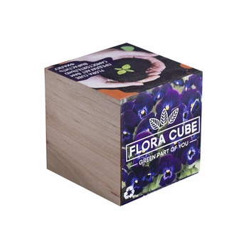 Живой куб Flora Cube «Фиалка» (25736)