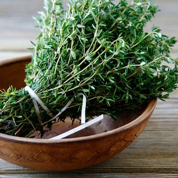Насіння чебрецю (Thymus) 900 насінин OGOROD