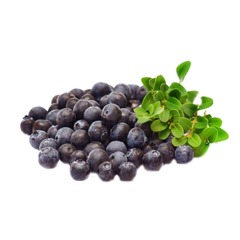 Насіння чорниці звичайної (Vaccinium myrtillus) 20 насінин OGOROD