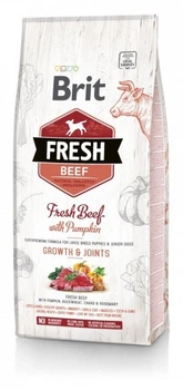 Сухой корм Brit Fresh Beef & Pumpkin Growth & Joints для щенков и юниоров крупных пород собак с говядиной и тыквой 12 кг (170991/530755)