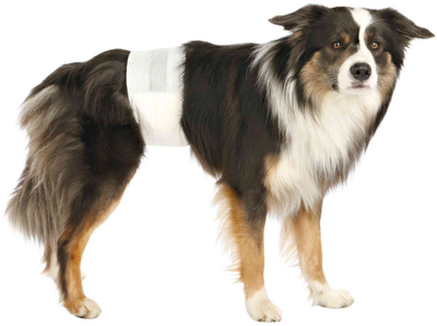 Многоразовый памперс для собак MISOKO reusable diapers for male dogs | мама32.рф