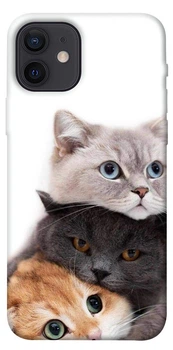 TPU чохол Demsky Три кота для Apple iPhone 12 (6.1")