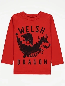 Реглан для мальчика красный Dragon George 92-98см (40005532)