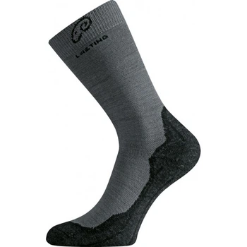 Носки Lasting WHI 38-41 Сірий