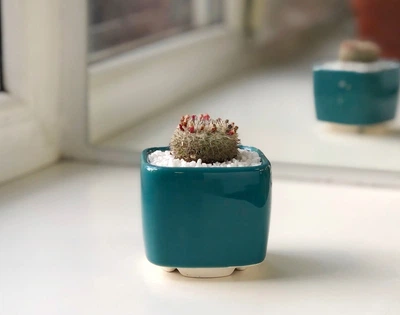 Керамічний горщик для сукулентів Mini Plant маленького розміру 6,4х6,5см Квадратний Смарагдовий