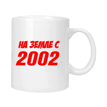 Чашка подарочная MUGG На земле с 2002 310 мл арт.630