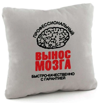 Подушка Вынос мозга Серая