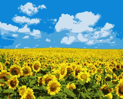 Картина по номерам "Поле подсолнухов" 50*60 см Artissimo PNХ5379