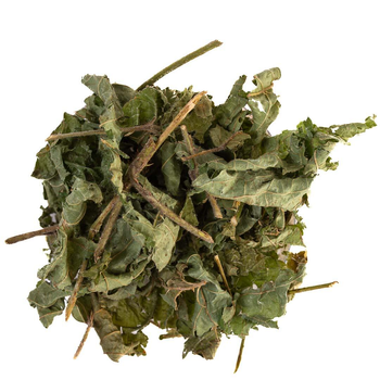 Трав'яний чай Newtea Пагони карпатської ожини(50 г)