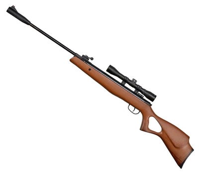 Пневматична гвинтівка Beeman Hound приціл 4×32