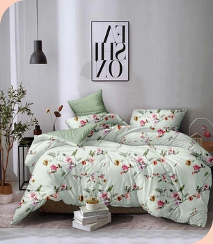 Постельное белье евро Vie Nouvelle Velour микрофибра 200х220 VL33E