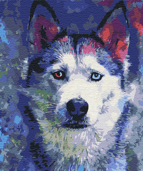 Картина по номерам BrushMe Взгляд Хаски (BS51460)