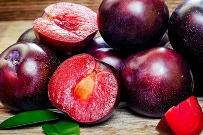 Саженец сливы Гайавата (гибрид слива+вишня) летний сорт Сад&Парк однолетнее