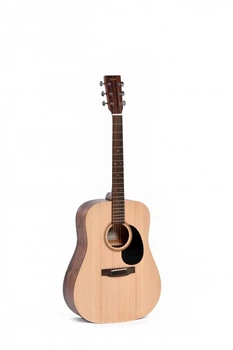 Акустическая гитара Ditson D-10