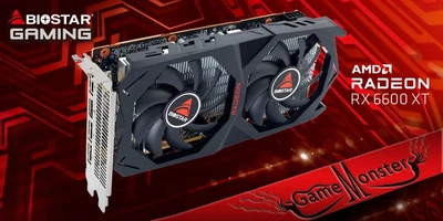 Biostar Radeon RX 6600 XT (VA66T6TM81)