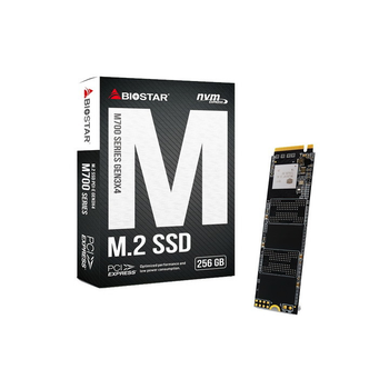 BIOSTAR 128GB (M700-128GB)