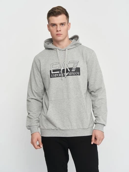 Худи мужское Emporio Armani 10928 L (48) Серое