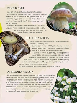 Перлини природи України - Станкевич Т.О. (9789669890764)