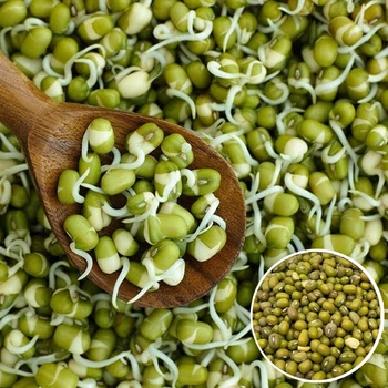 Маш насіння на паростки 100 г