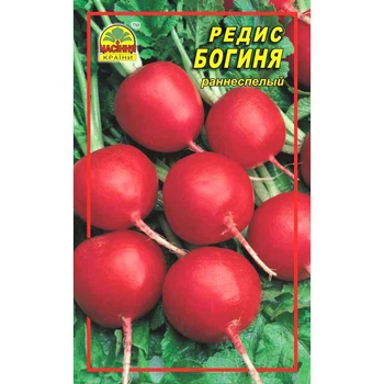 Семена редиса Богиня 3 г (Насіння країни)