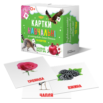 Картки Гленна Домана. Базовий набір №6. 70 шт., 10 тем (Укр) (МКД0013)