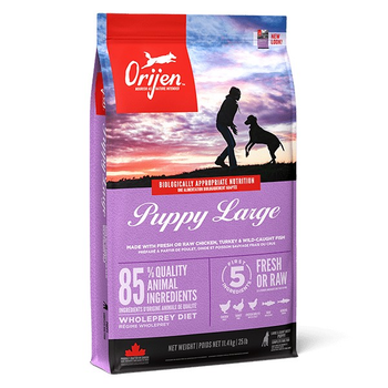 Сухий корм Orijen Puppy Large 11.4 кг для цуценят великих порід
