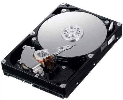 Жесткий диск 3.5" 500Gb Western Digital AV-GP, SATA2, 16Mb, 5400 rpm (WD5000AVCS) (Ref)