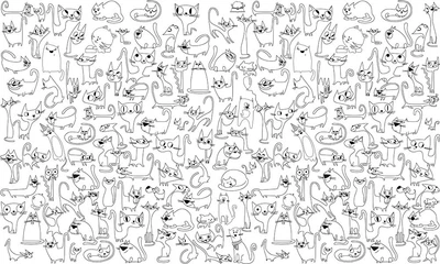 Шпалери-розмальовки Коти 60*100 C-100013